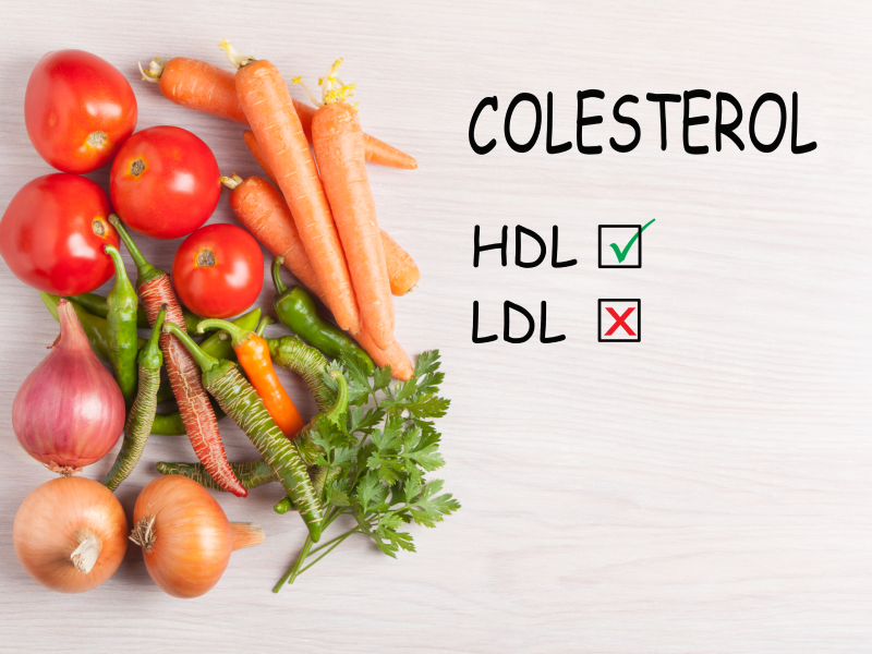 Diferencias entre colesterol bueno y malo
